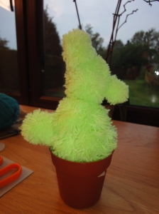 Ceci est un cactus pompon